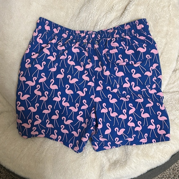 EUC Tom & Teddy Men’s Flamingo Medium Swim Trunks - Picture 6 of 7